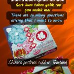 Muay Nee Ka หมวยนี่คะ by China Dolls (English Translation)